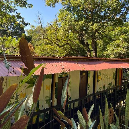 Hostal Las Mariposas ミンカ エクステリア 写真