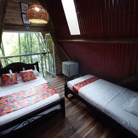 Hostal Las Mariposas ミンカ エクステリア 写真
