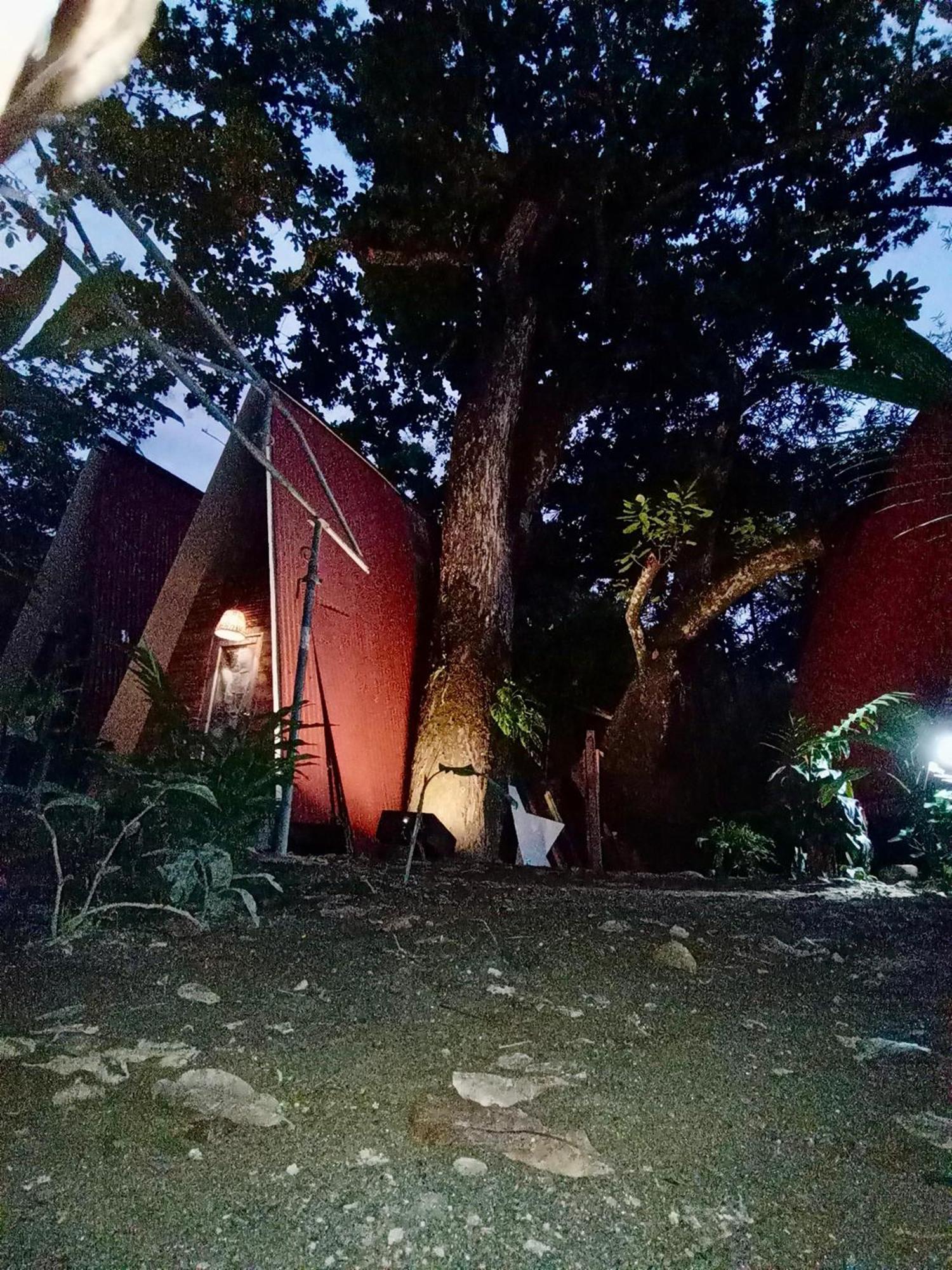 Hostal Las Mariposas ミンカ エクステリア 写真