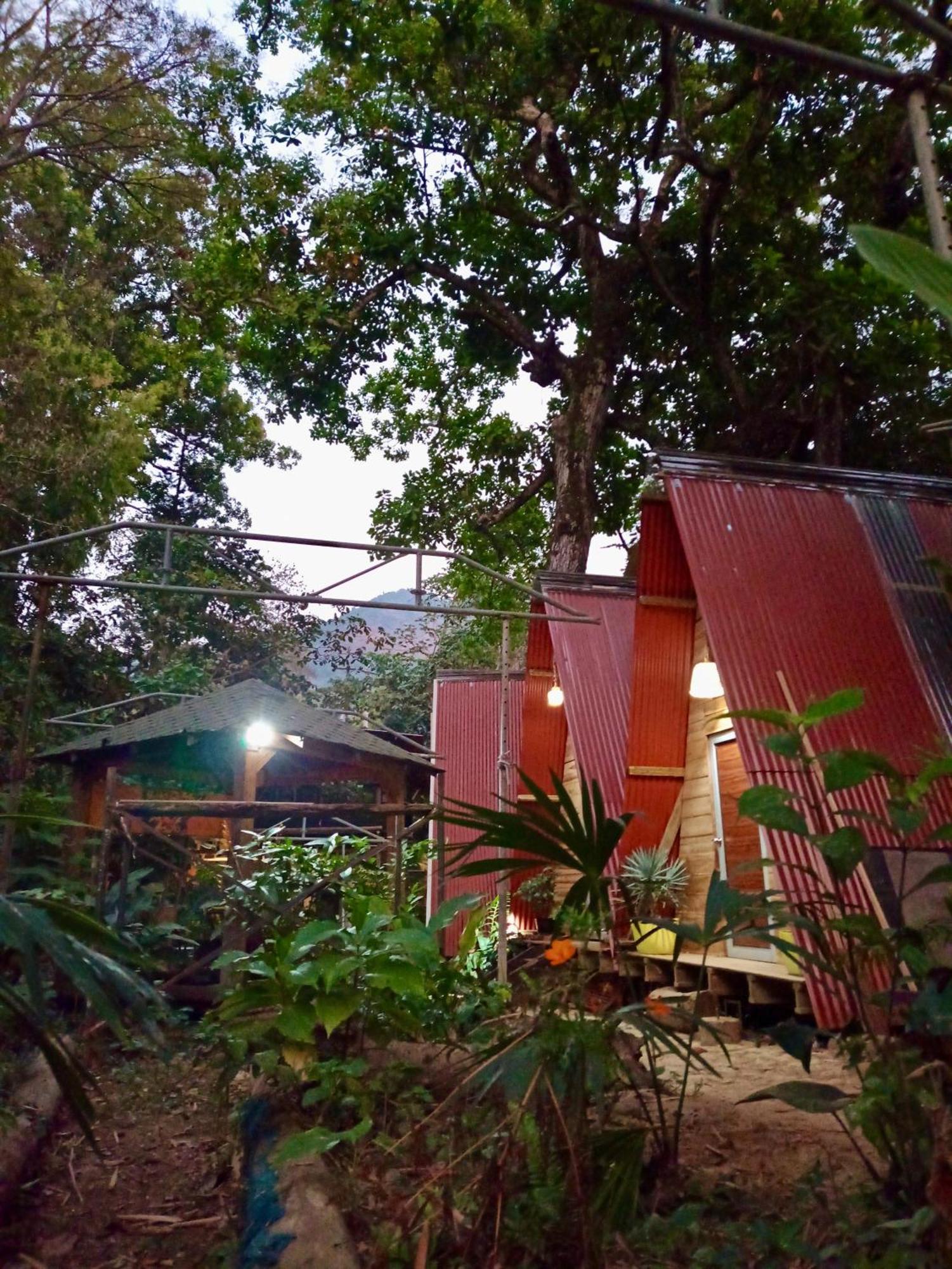 Hostal Las Mariposas ミンカ エクステリア 写真
