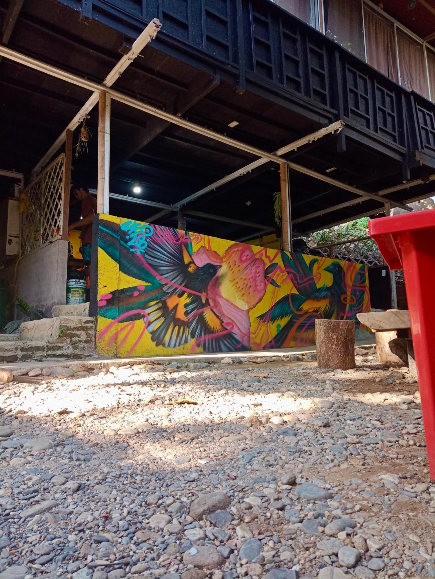 Hostal Las Mariposas ミンカ エクステリア 写真