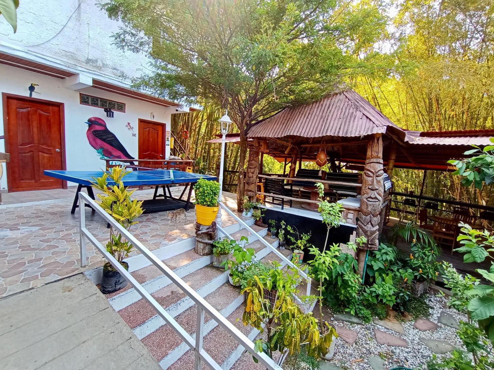 Hostal Las Mariposas ミンカ エクステリア 写真