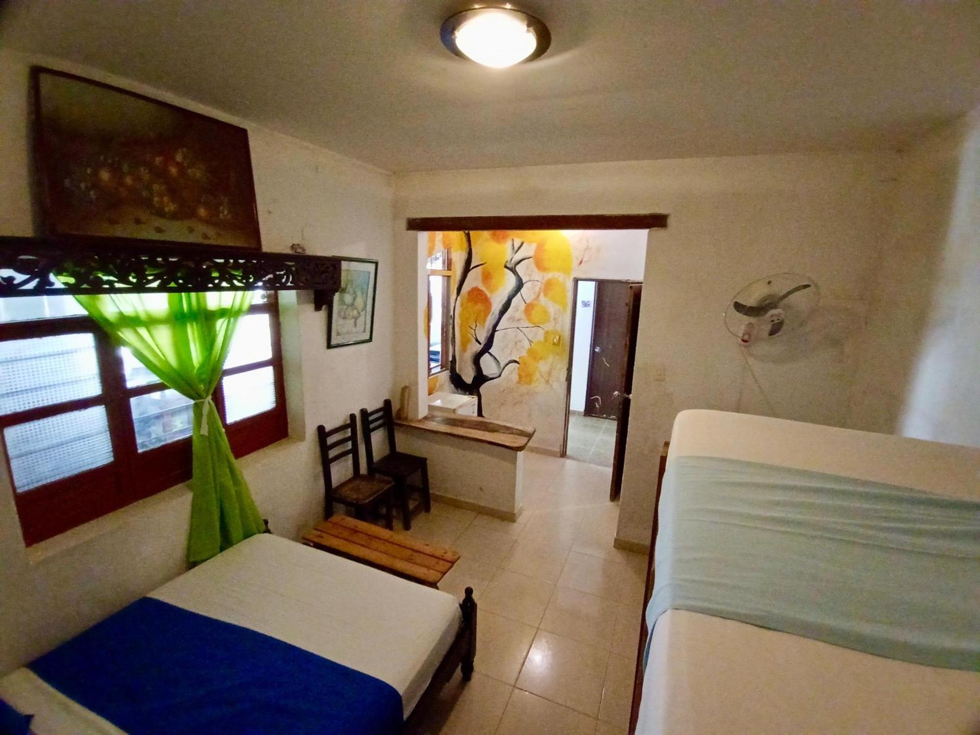 Hostal Las Mariposas ミンカ エクステリア 写真
