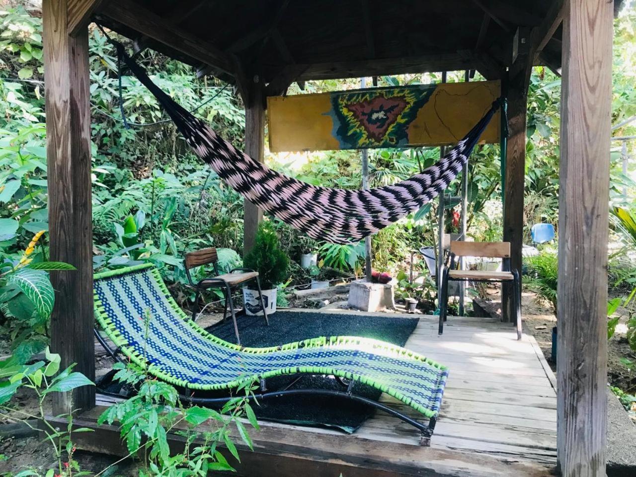 Hostal Las Mariposas ミンカ エクステリア 写真