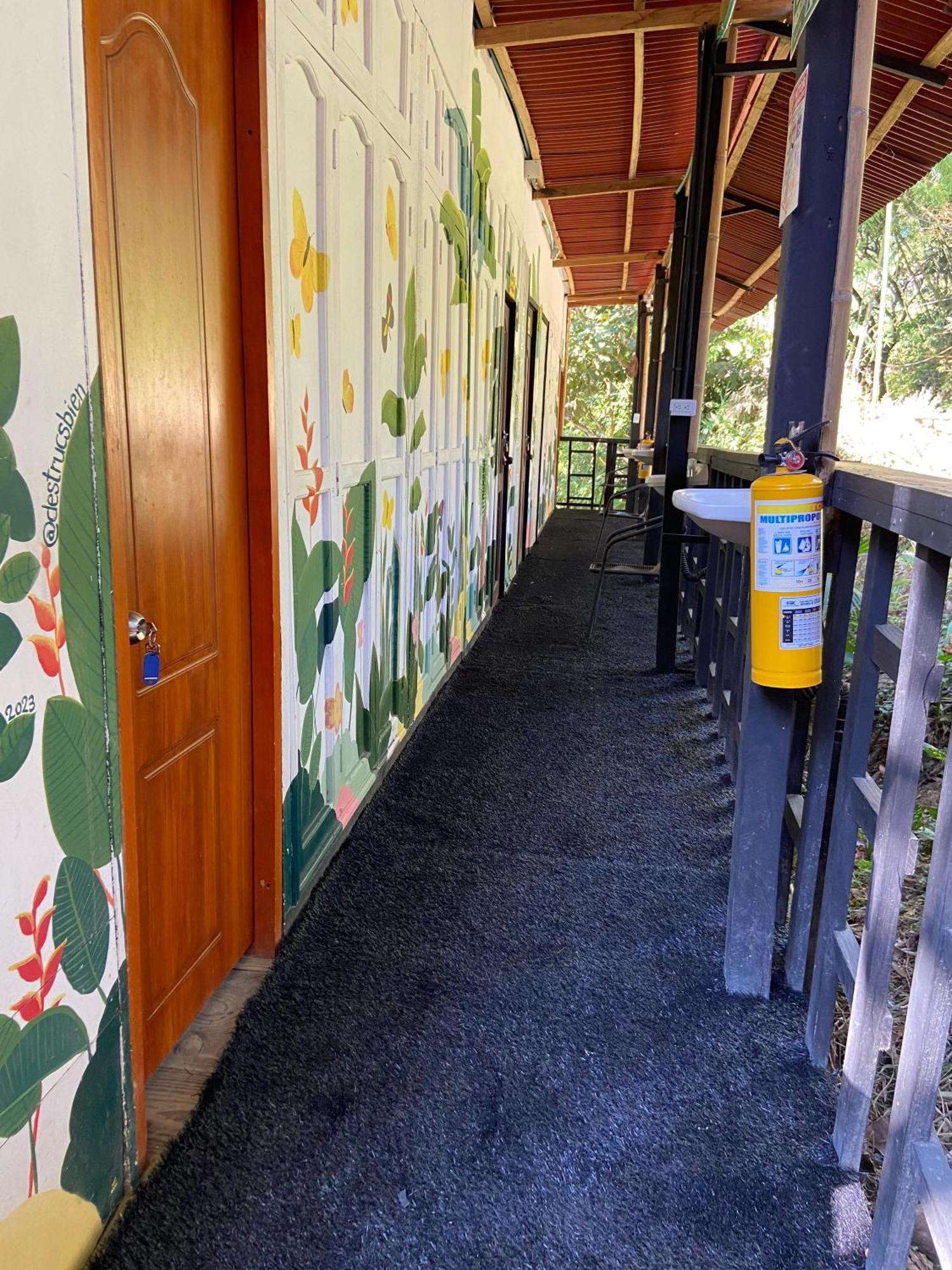 Hostal Las Mariposas ミンカ エクステリア 写真