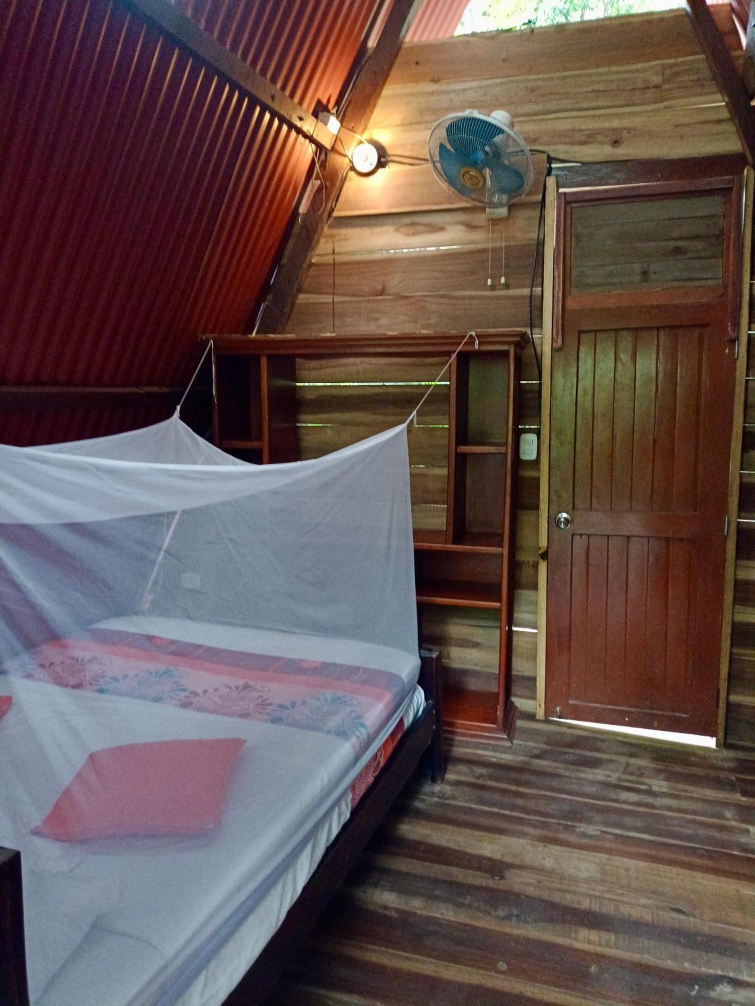 Hostal Las Mariposas ミンカ エクステリア 写真
