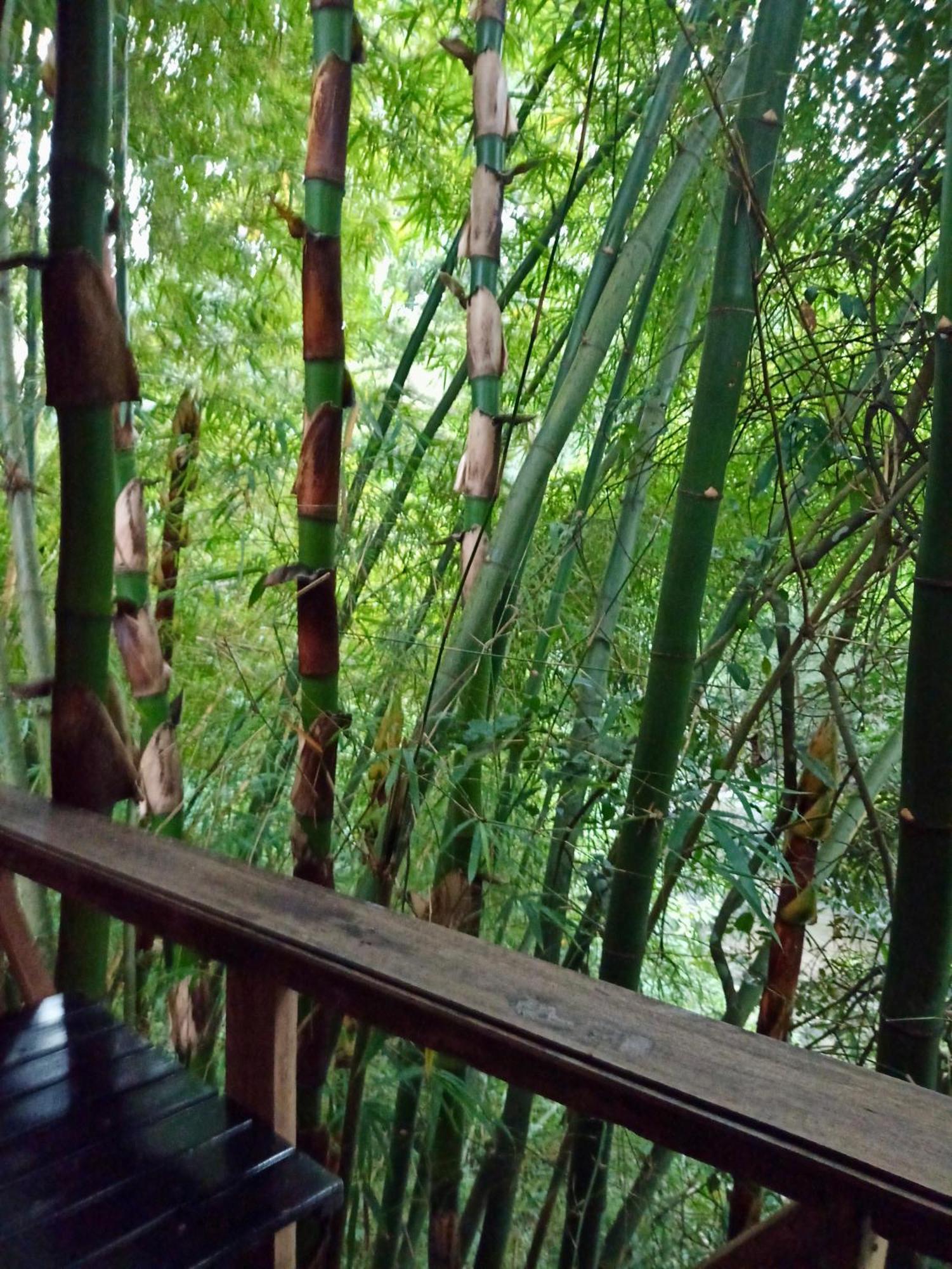 Hostal Las Mariposas ミンカ エクステリア 写真