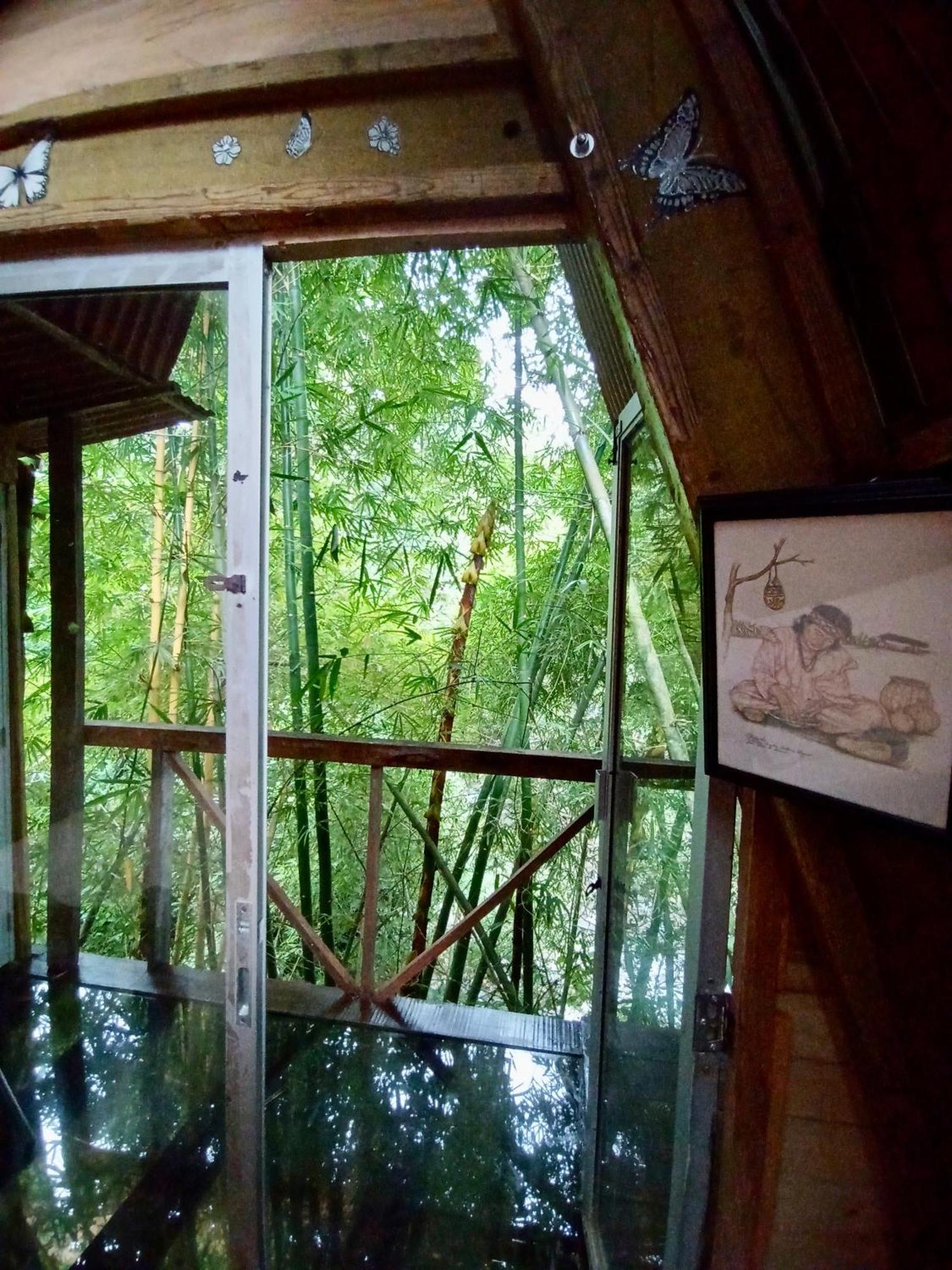 Hostal Las Mariposas ミンカ エクステリア 写真