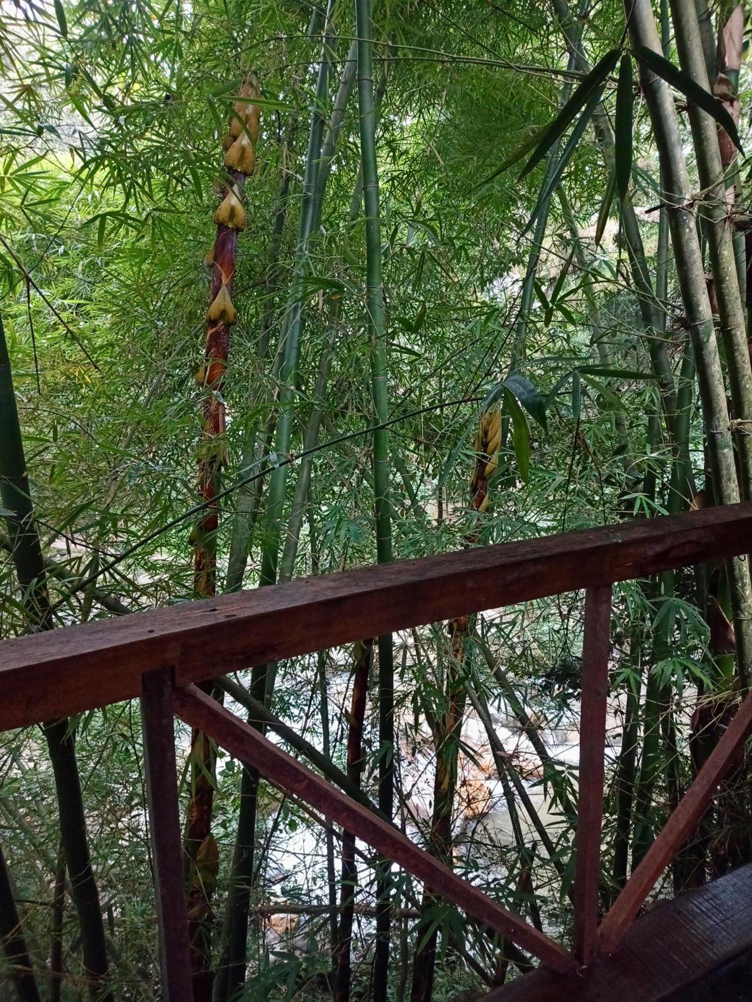 Hostal Las Mariposas ミンカ エクステリア 写真