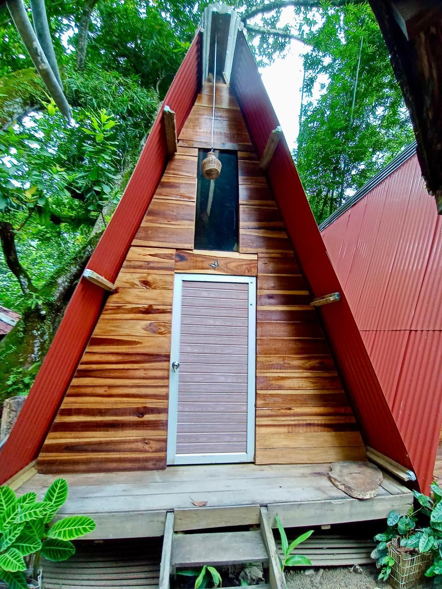 Hostal Las Mariposas ミンカ エクステリア 写真