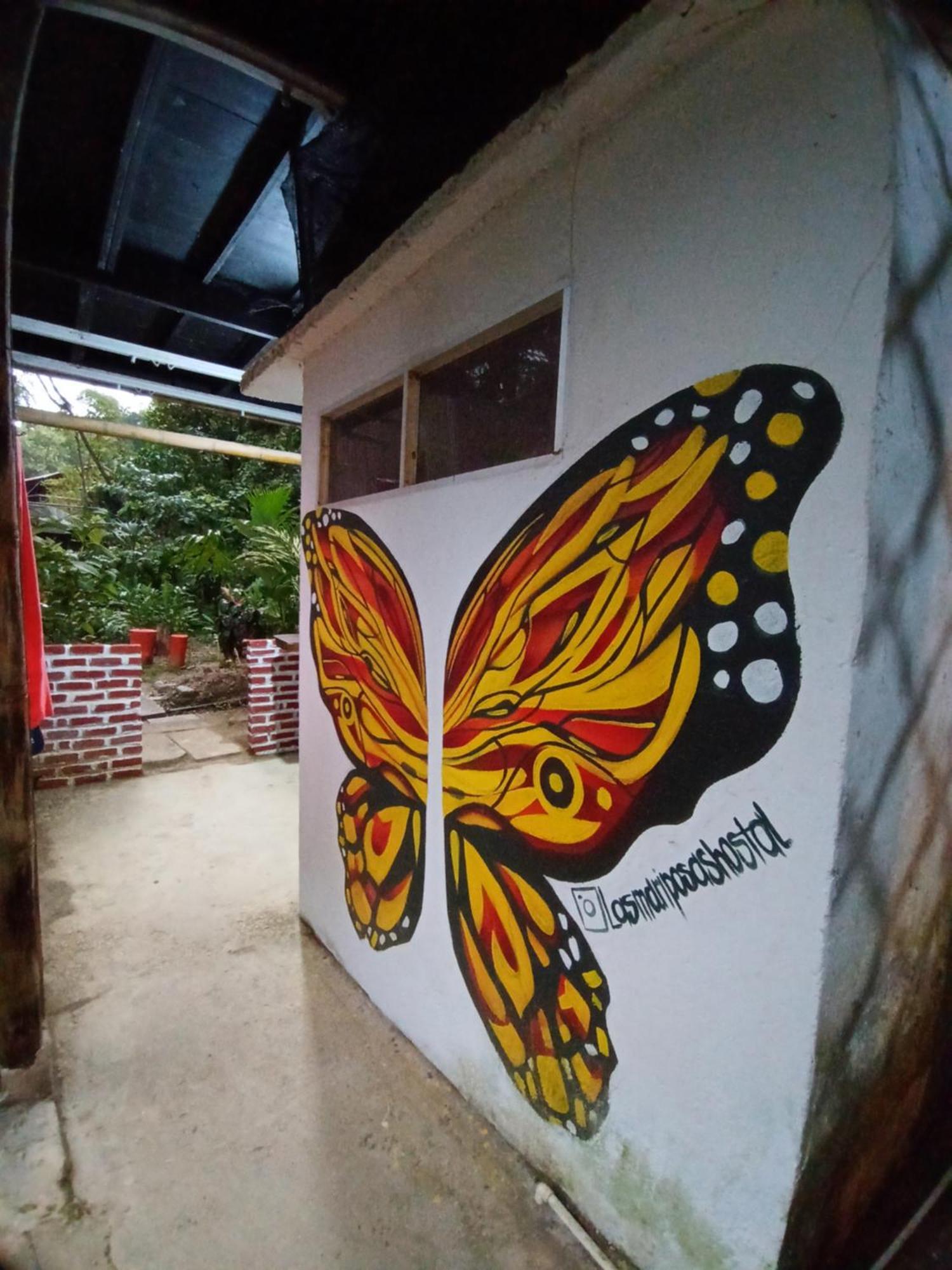Hostal Las Mariposas ミンカ エクステリア 写真