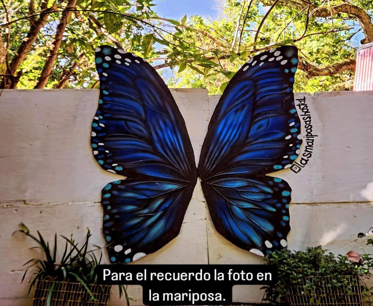Hostal Las Mariposas ミンカ エクステリア 写真